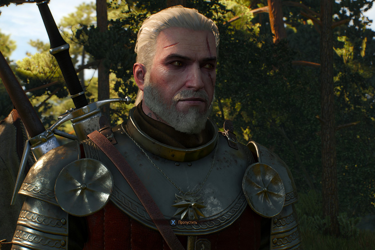 The Witcher