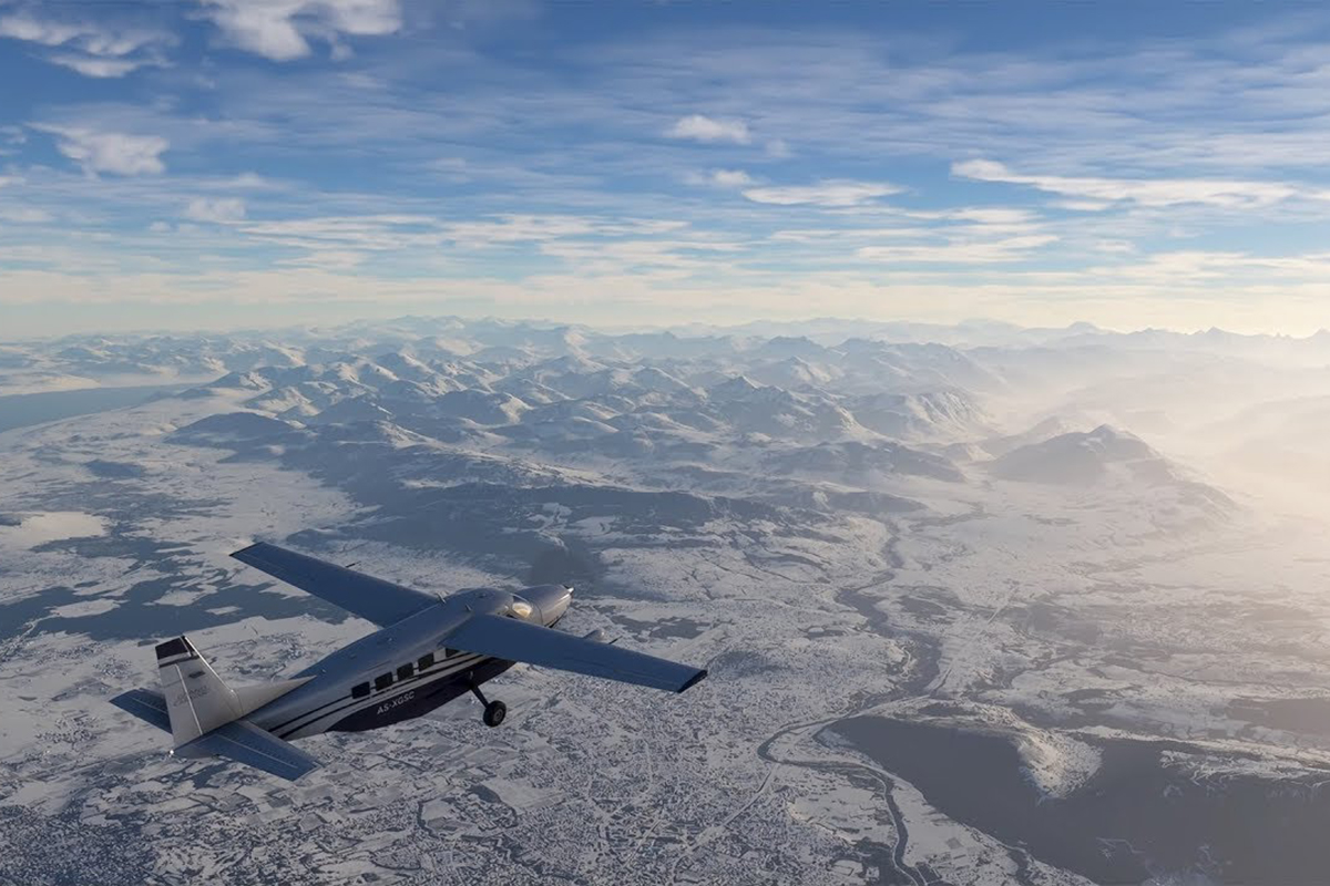 Microsoft Flight Simulator