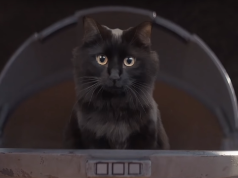 Мандалорець