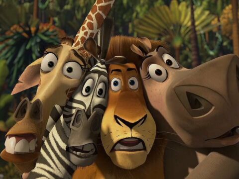 Мадагаскар